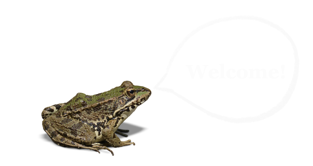 frog with a welome text bubble